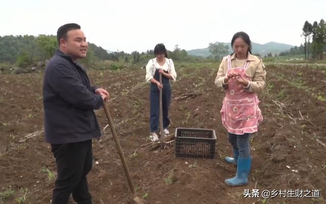 魔芋粉价格多少钱一斤（魔芋粉价格多少钱一吨）