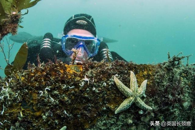 国外游乐场最刺激十大项目，国外游乐场最刺激十大项目视频？